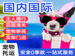 和田机场物流国际宠物托运 【国